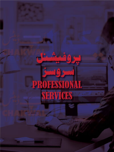 Professional Services